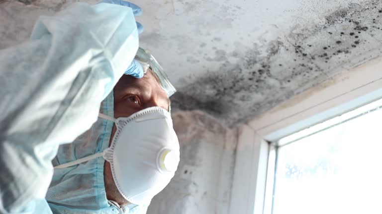 Reliable Lexington, TX Mold Removal Solutions